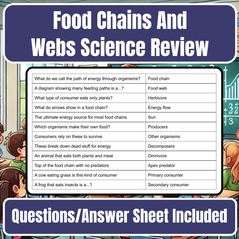 Food Chains And Webs Jeopardy Science Review I0119