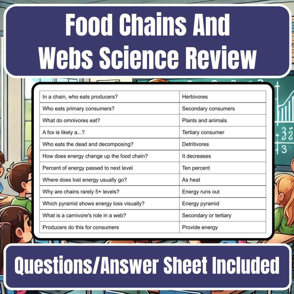 Food Chains And Webs Jeopardy Science Review I0119