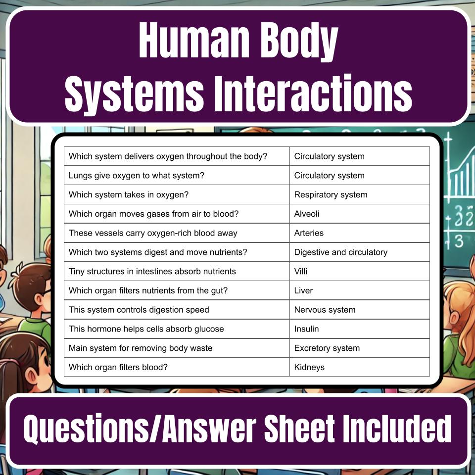 Human Body Systems Interactions Jeopardy Science Review I0124