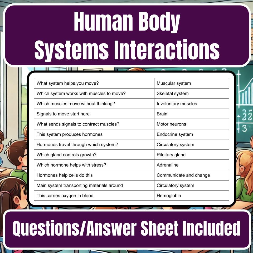 Human Body Systems Interactions Jeopardy Science Review I0124