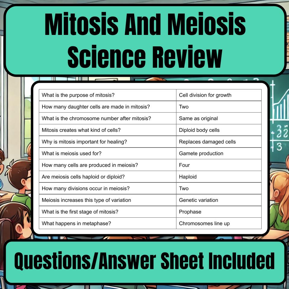 Mitosis And Meiosis Jeopardy Science Review I0127