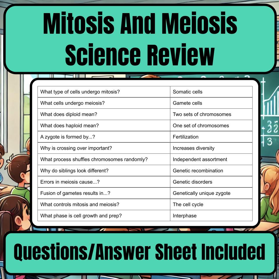 Mitosis And Meiosis Jeopardy Science Review I0127