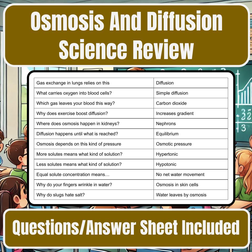 Osmosis And Diffusion Jeopardy Science Review I0132