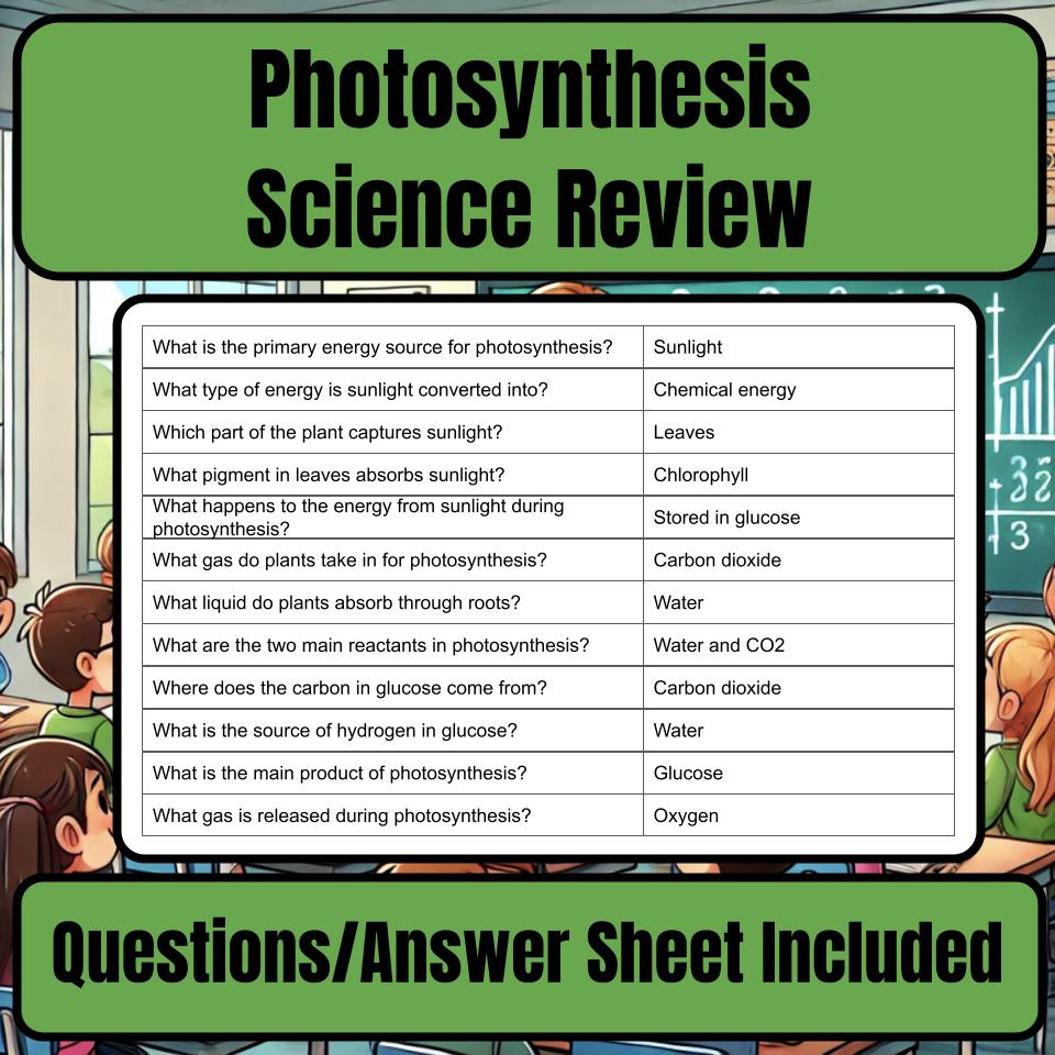 Photosynthesis Jeopardy Science Review I0014