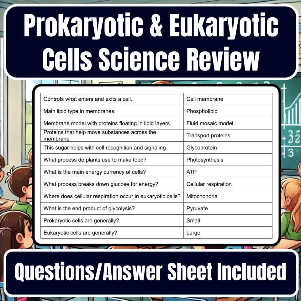 Prokaryotic & Eukaryotic Cells Jeopardy Science Review I0068
