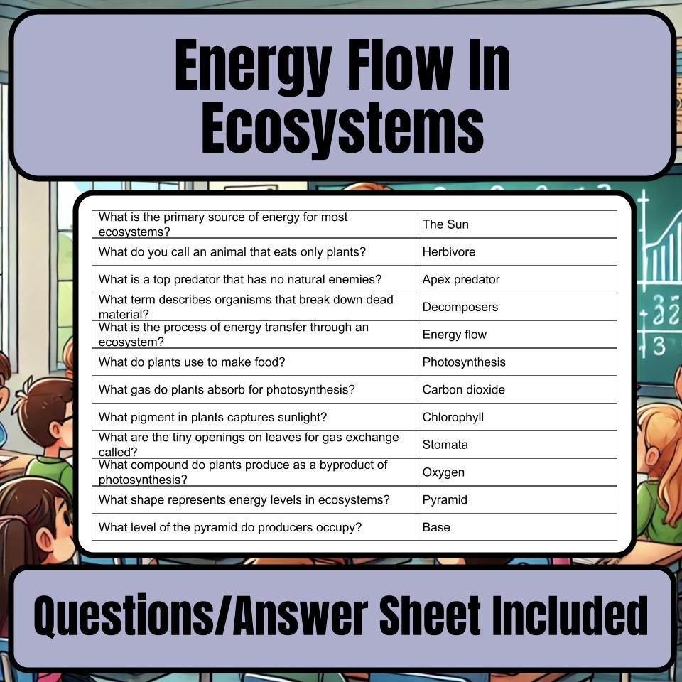 Energy Flow In Ecosystems Jeopardy Science Review I0079