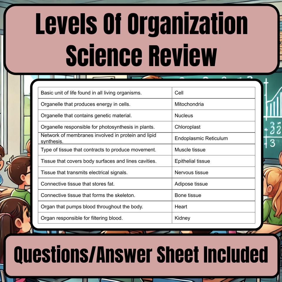 Levels Of Organization Jeopardy Science Review I0082