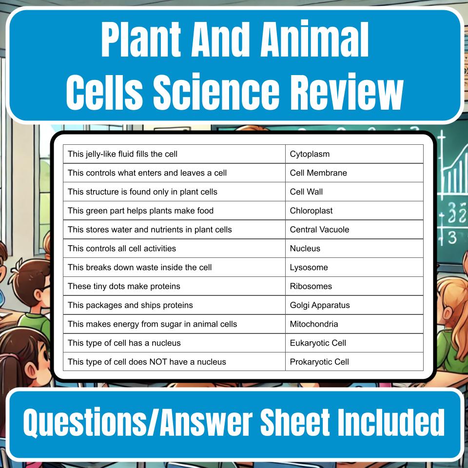 Plant And Animal Cells Jeopardy Science Review I0083