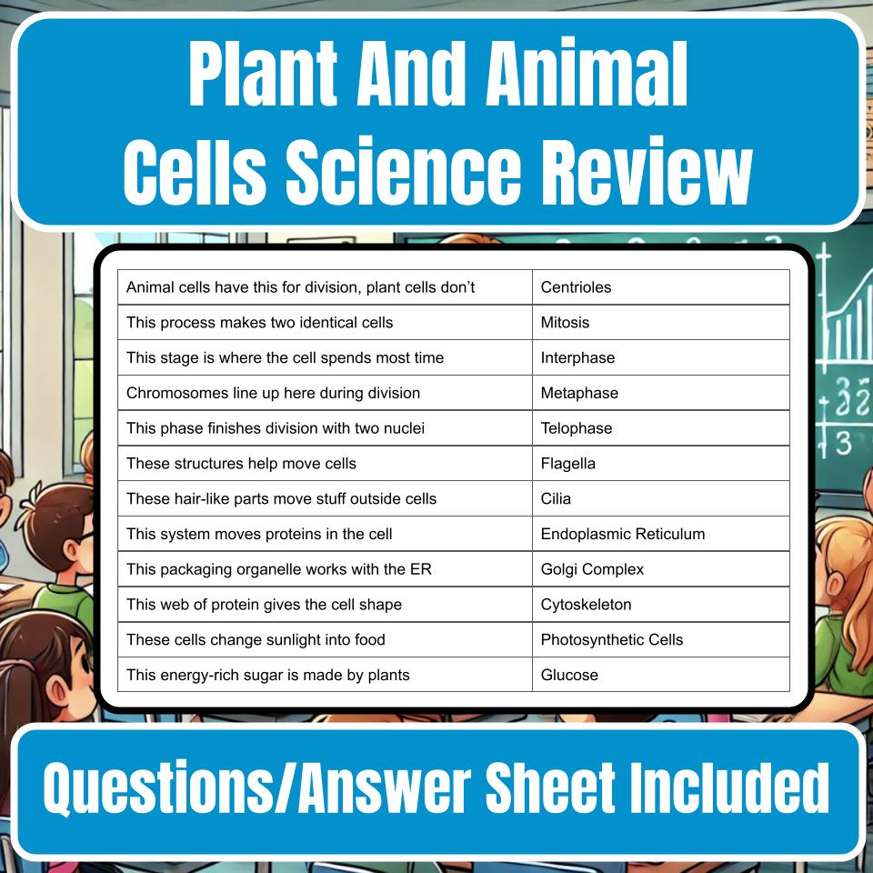 Plant And Animal Cells Jeopardy Science Review I0083