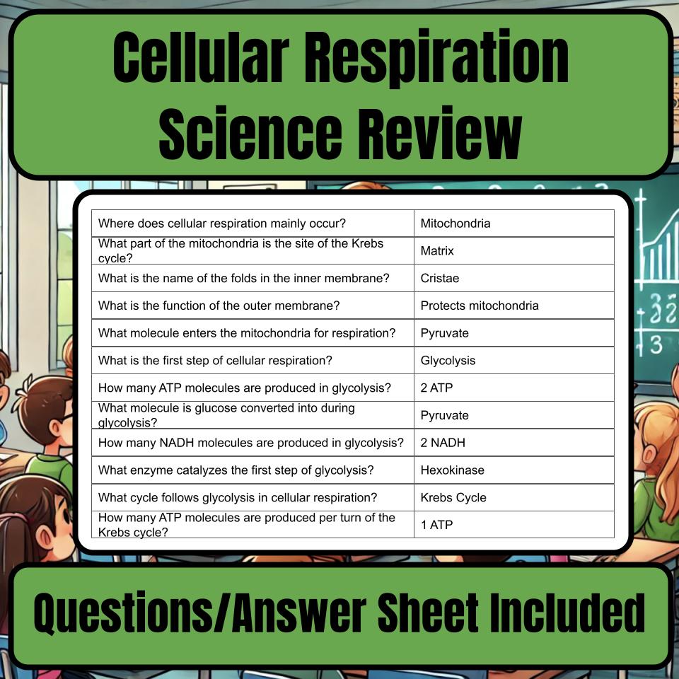 Cellular Respiration Jeopardy Science Review I0009
